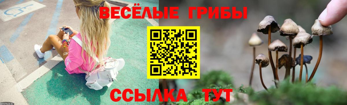 Новозыбков  Галлюциногенные грибы мухоморы  Вход с VPN  Псилоцибиновые грибы ЛСД 