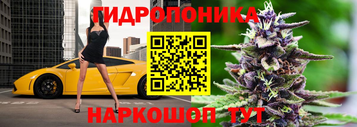 ГАШИШ  Вход с VPN  Мефедрон  Канабис  Меф   Экстази  Alpha PVP СОЛЬ   Новозыбков  КОКАИН  Купить наркотик 